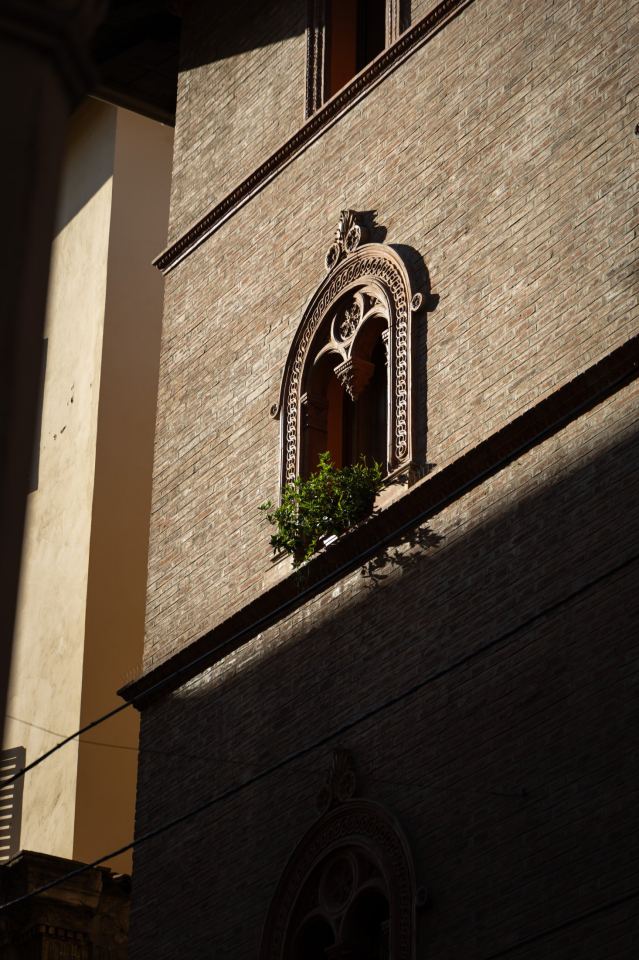 Bologna - immagine 2 | M&M Photography