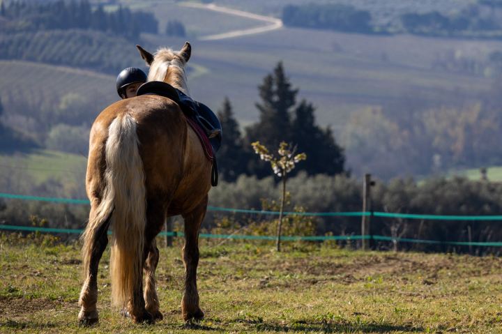 Flower Ranch - immagine 4 | M&M Photography