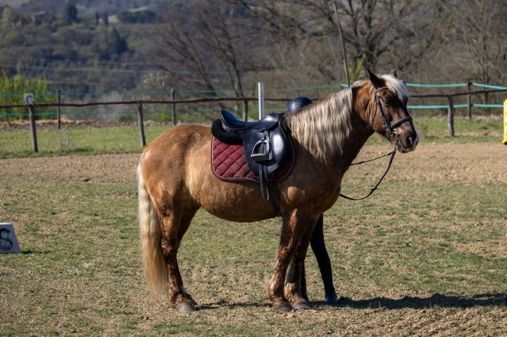 Flower Ranch - immagine 6 | M&M Photography