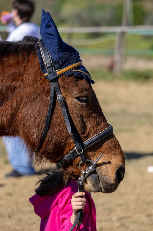 Flower Ranch - immagine 7 | M&M Photography