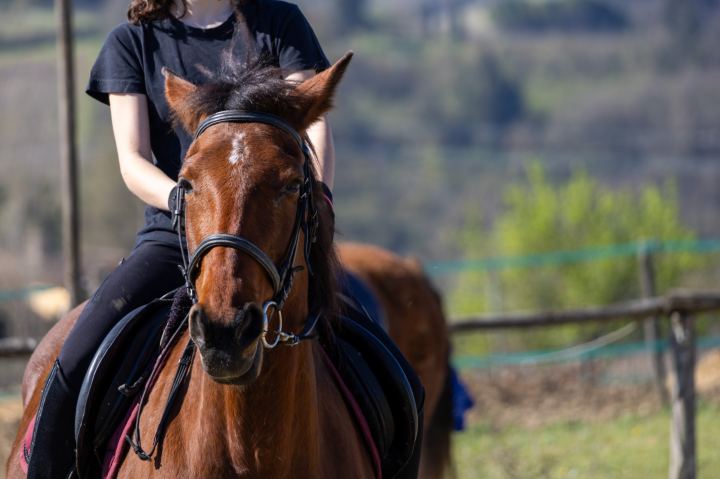 Flower Ranch - immagine 16 | M&M Photography