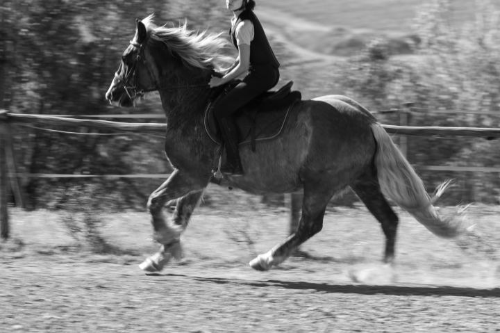 Flower Ranch - immagine 21 | M&M Photography