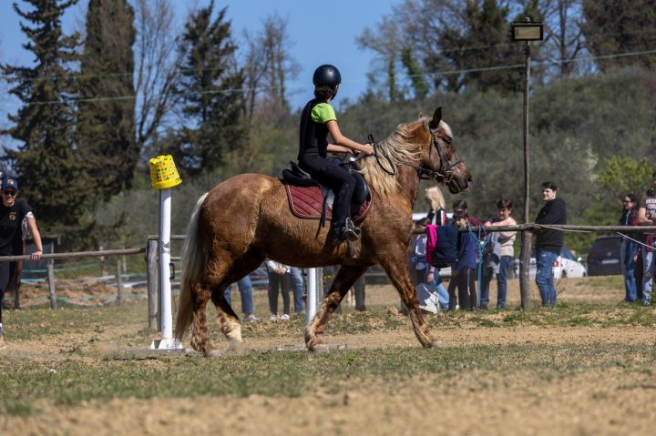 Flower Ranch - immagine 47 | M&M Photography