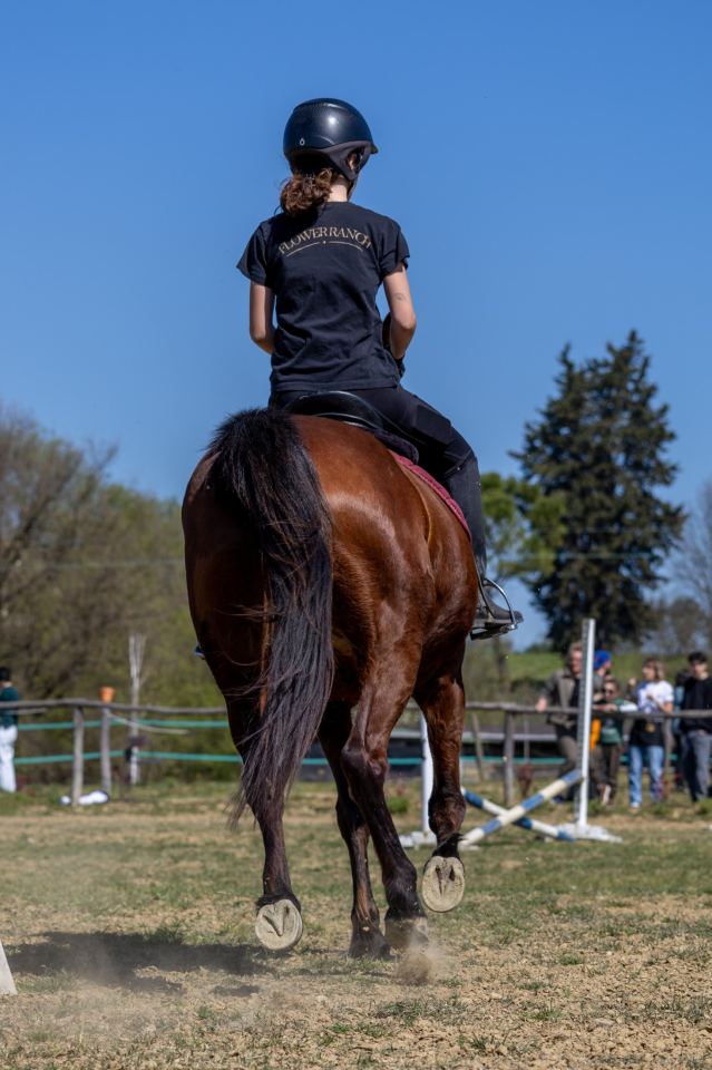 Flower Ranch - immagine 50 | M&M Photography