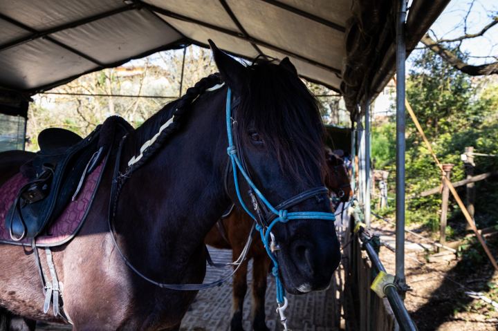 Flower Ranch - immagine 57 | M&M Photography