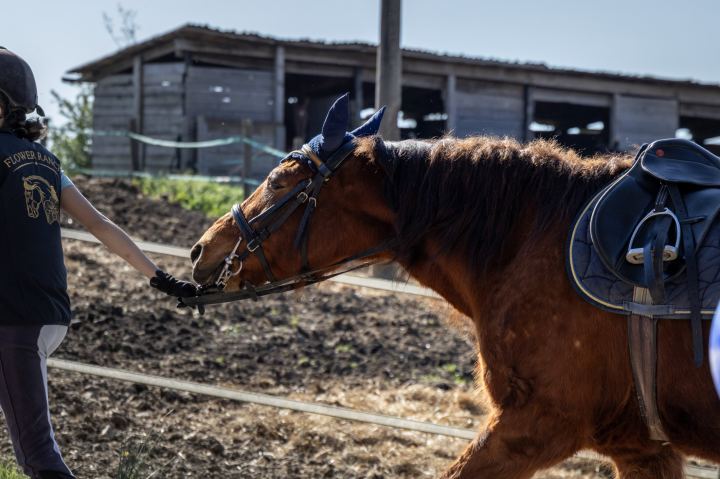 Flower Ranch - immagine 63 | M&M Photography