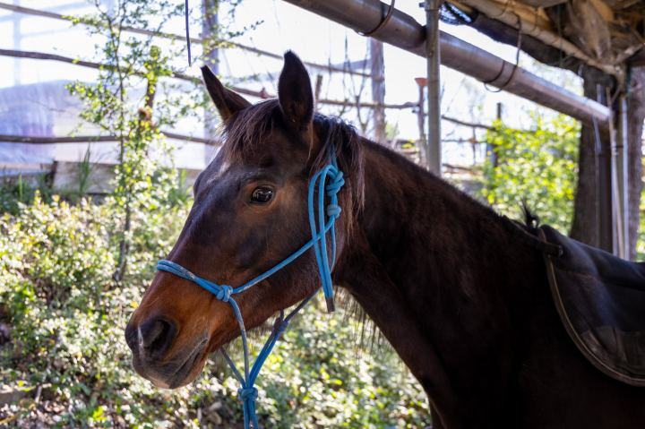 Flower Ranch - immagine 83 | M&M Photography