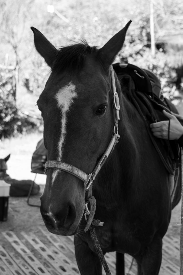 Flower Ranch - immagine 89 | M&M Photography
