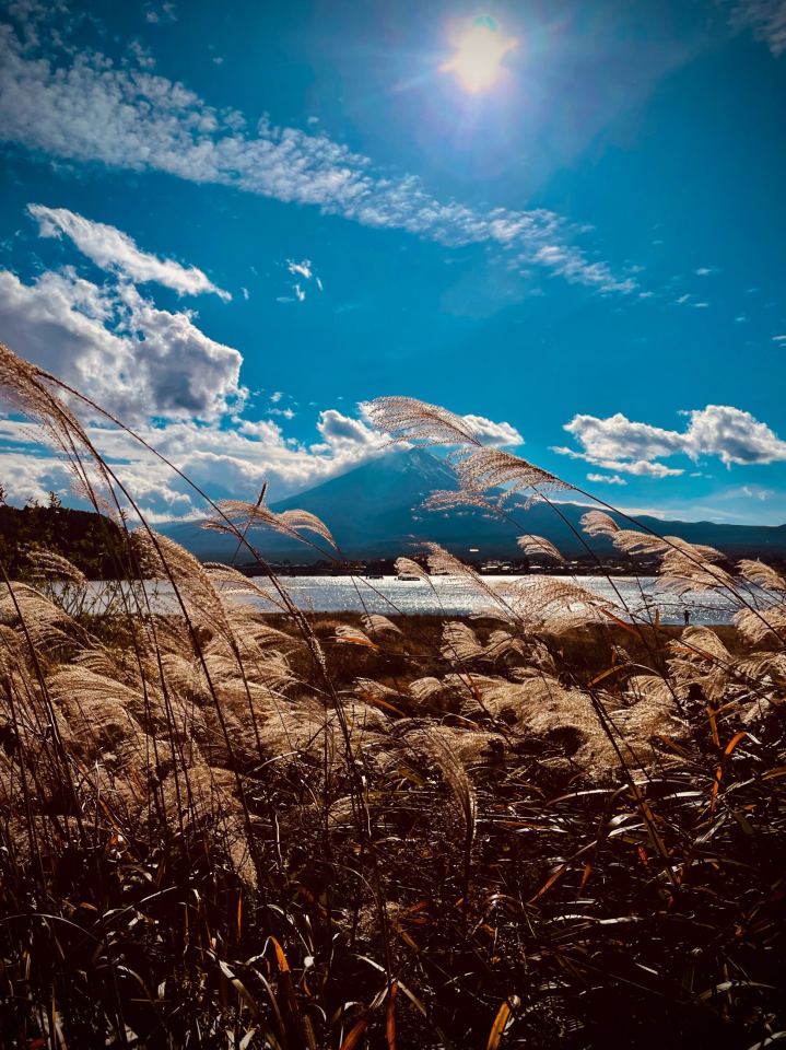 Giappone - immagine 40 | M&M Photography