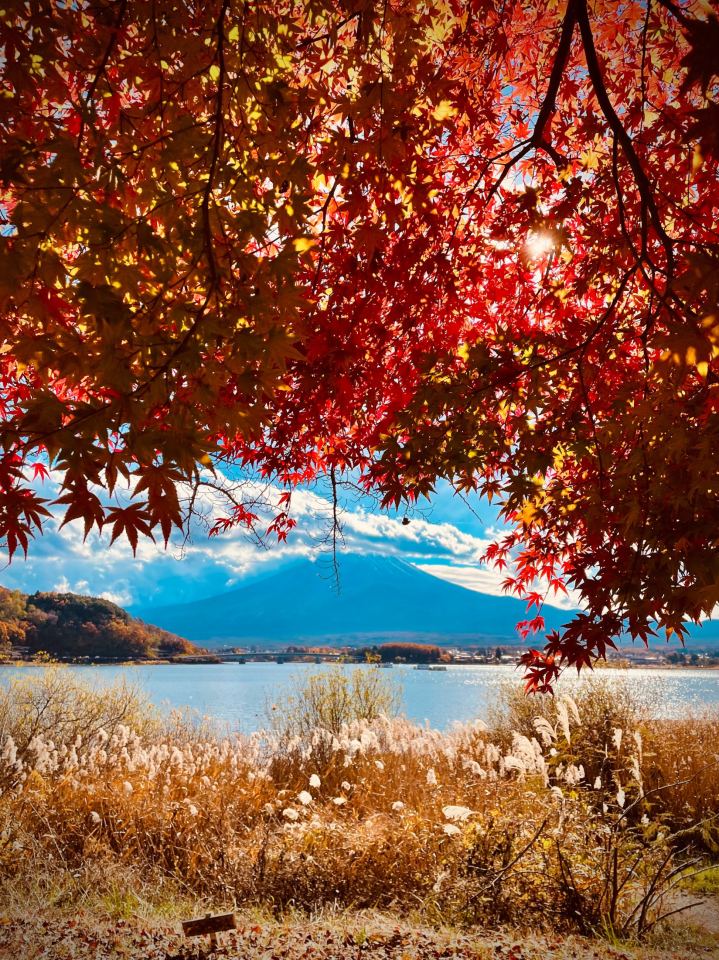 Giappone - immagine 41 | M&M Photography