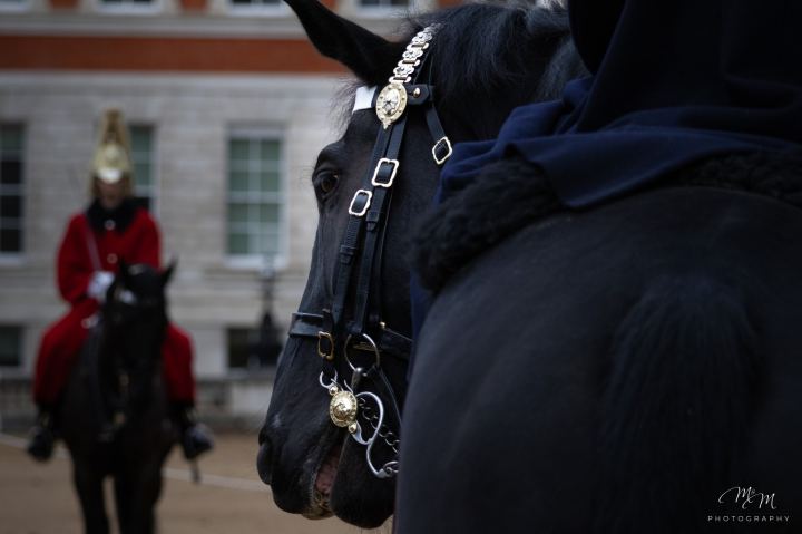 Londra - immagine 26 | M&M Photography
