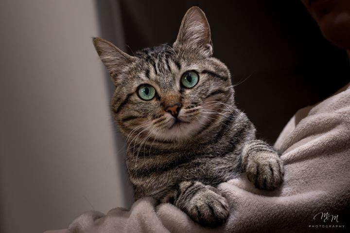 Ozzy e Loki - immagine 4 | M&M Photography