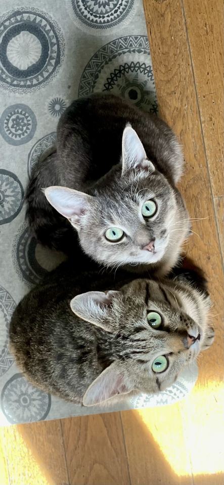 Ozzy e Loki - immagine 9 | M&M Photography