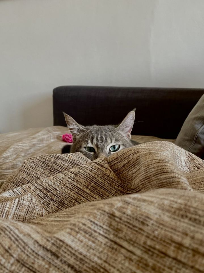 Ozzy e Loki - immagine 10 | M&M Photography
