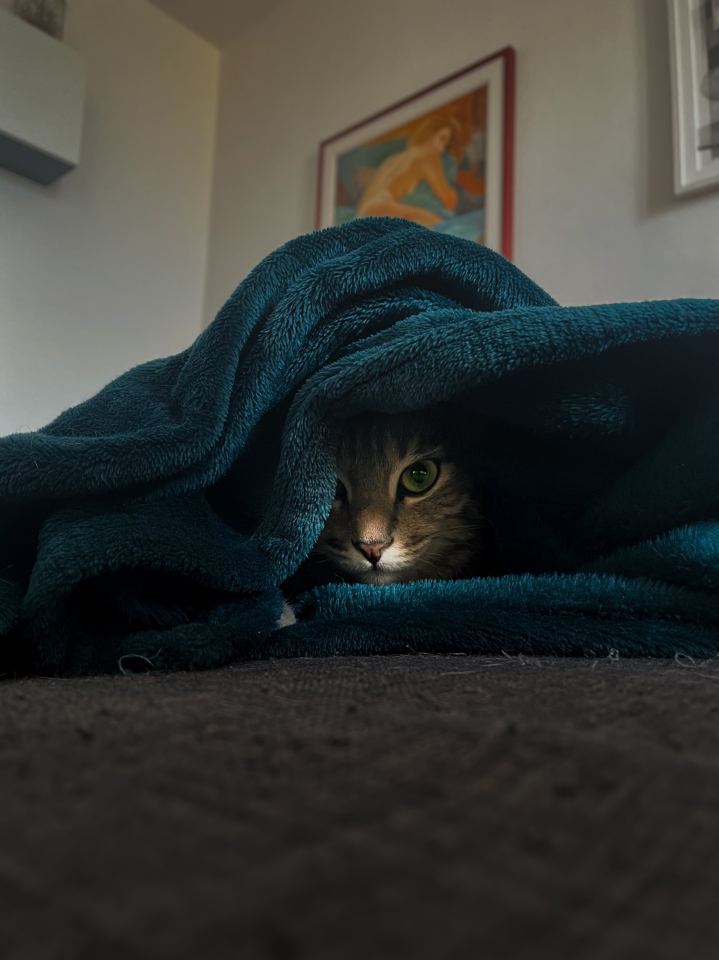 Ozzy e Loki - immagine 11 | M&M Photography