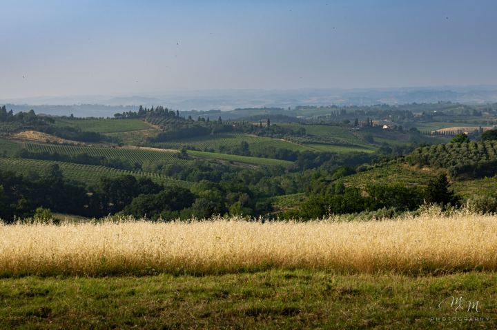 Toscana - immagine 1 | M&M Photography