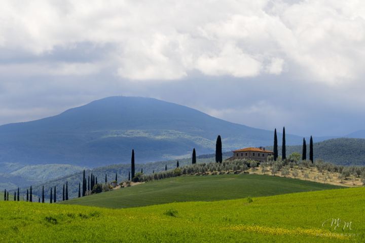 Toscana - immagine 3 | M&M Photography