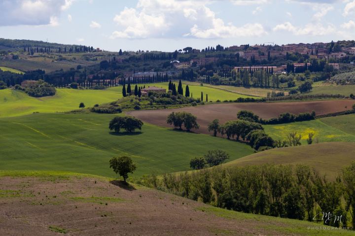 Toscana - immagine 7 | M&M Photography