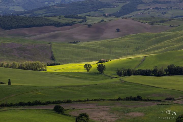 Toscana - immagine 17 | M&M Photography