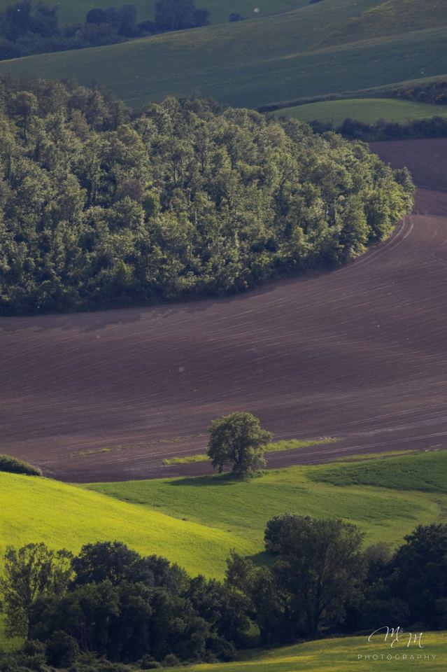 Toscana - immagine 18 | M&M Photography