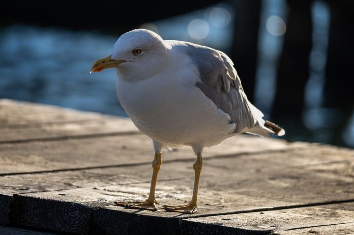 Venezia - immagine 15 | M&M Photography