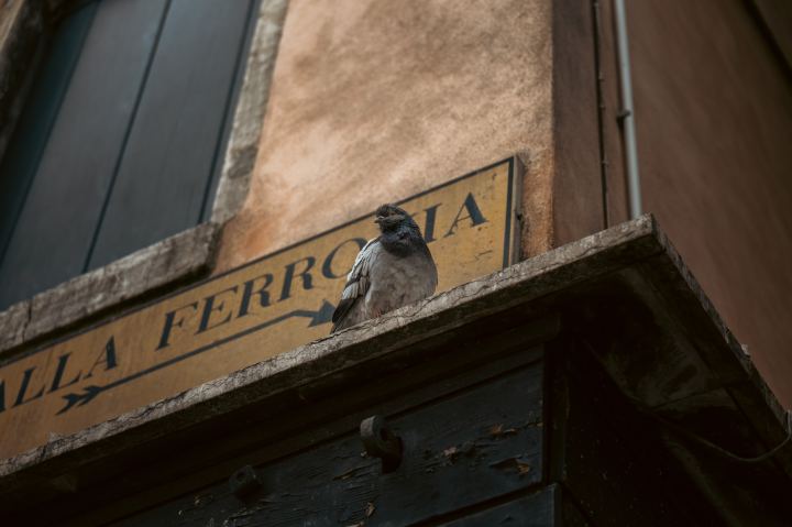 Venezia - immagine 75 | M&M Photography